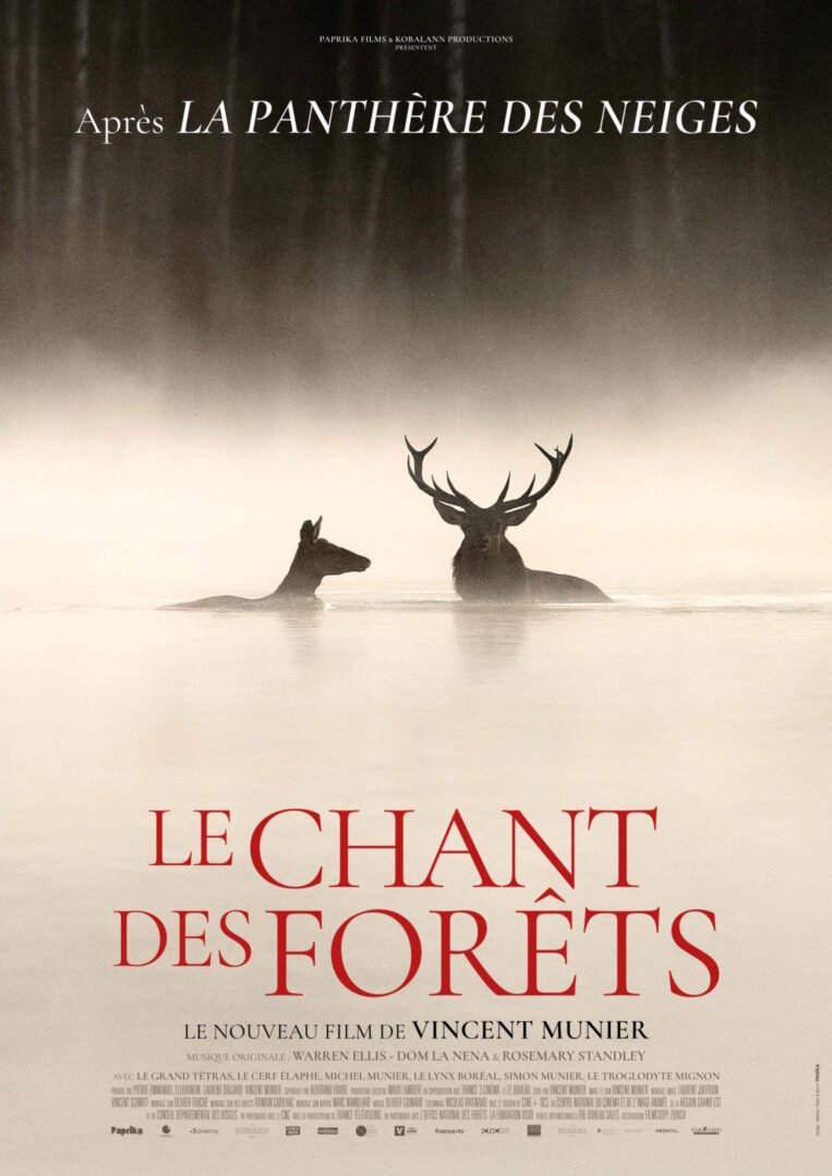 Le Chant des forêts